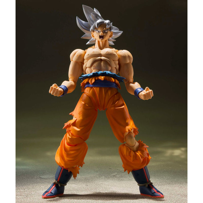 figura dragonball sh figuarts