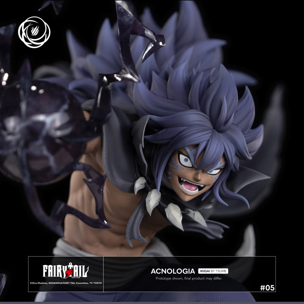 figura tsume acnologia