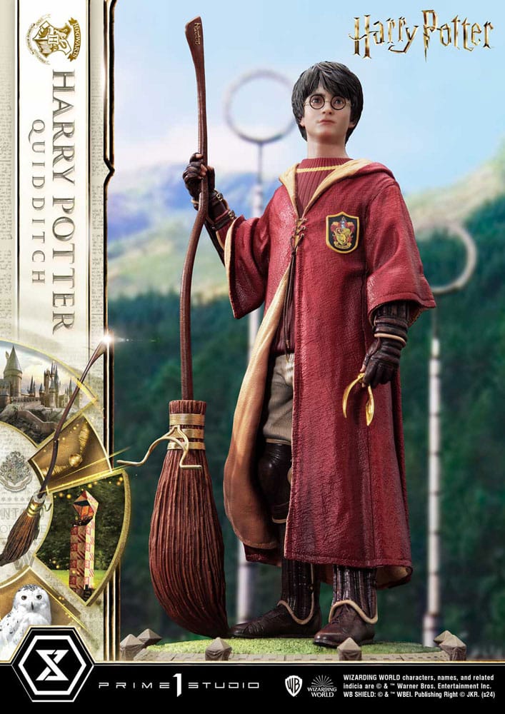 resina harry potter quidditch